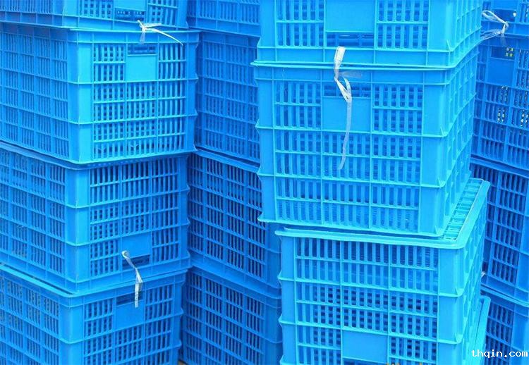 雅迪电动车携手星空电竞综合登录入口